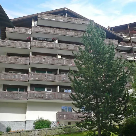 Mirador-1 *